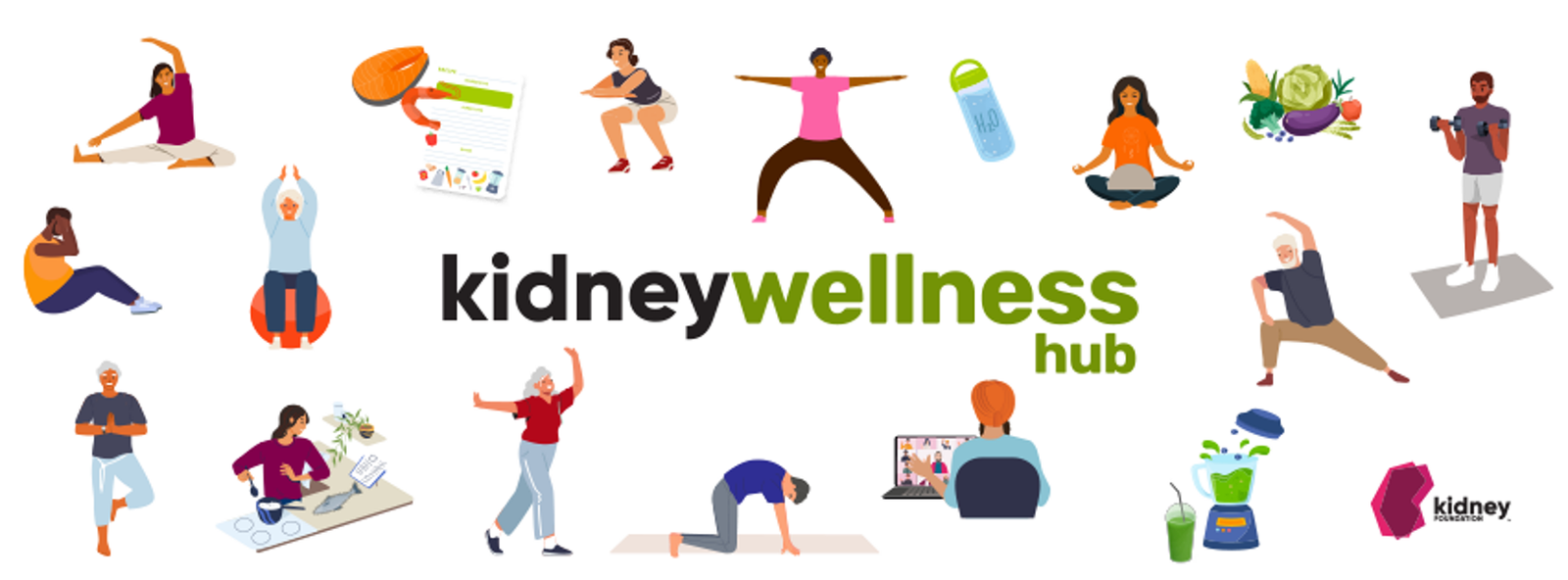 Kidney Wellness Hub