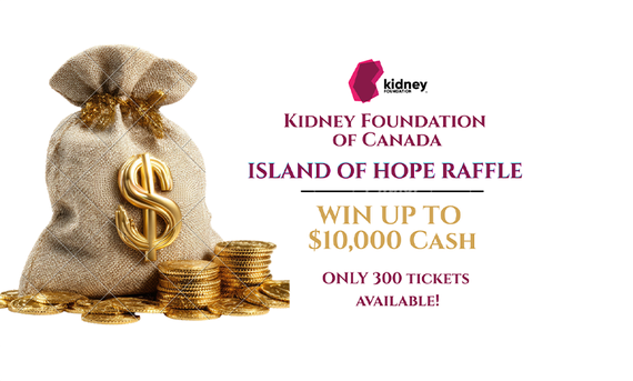 Island of Hope raffle banner