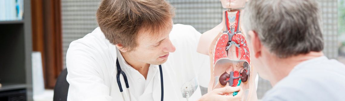 Two doctors looking at a cutout model of a human upper body.
