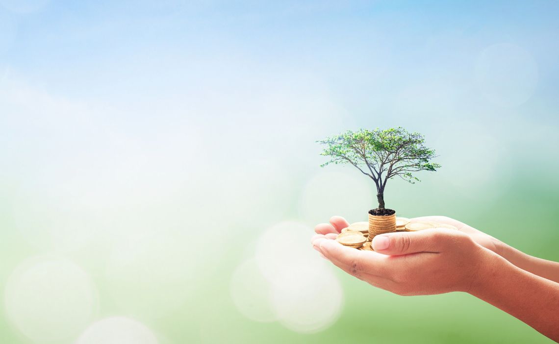 Mains tenant des pièces de monnaie et un petit arbre