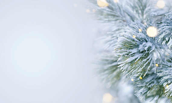 Un sapin de Noël recouvert de neige