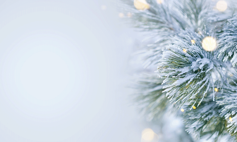 Online Holiday Auction
