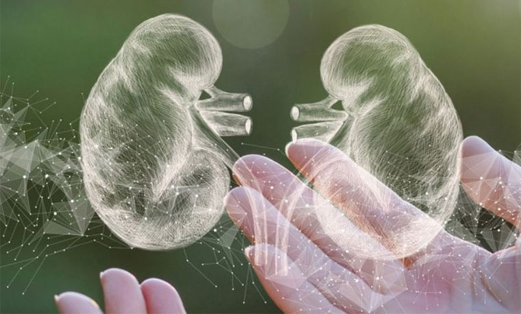 2026 Grande Prairie Kidney and Transplant Health Forum