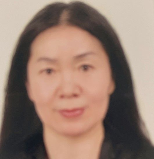 Xiufen Zheng | Western University