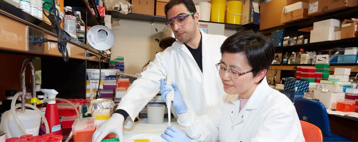 Two doctors working together