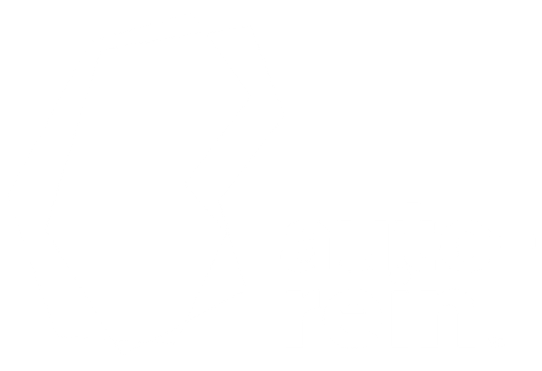 Auto-Rein
